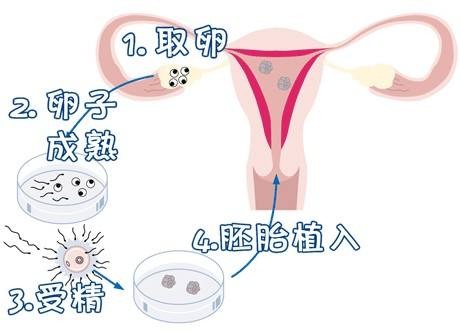 诊疗环境